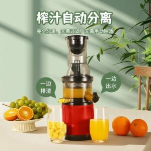 Slow juicer